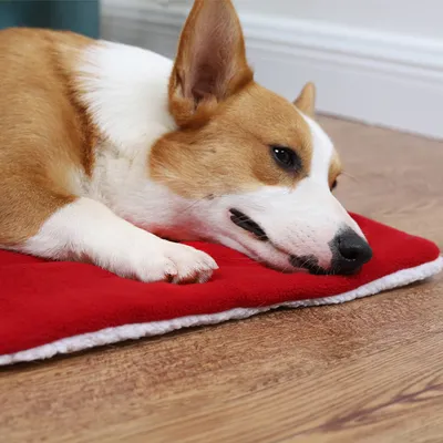 Christmas Pet Mat Super Soft Dog Mat For Christmas
