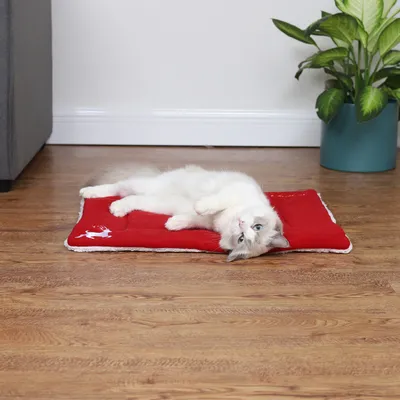 Christmas Pet Mat Super Soft Dog Mat For Christmas