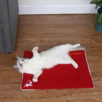 Christmas Pet Mat Super Soft Dog Mat For Christmas