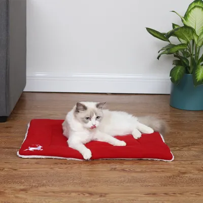 Christmas Pet Mat Super Soft Dog Mat For Christmas