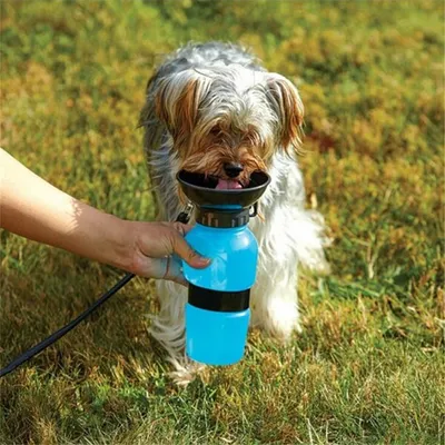 Portable Water Bottle Drinker For Pet Dogs