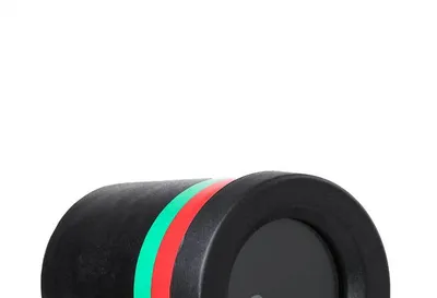 Christmas projection light