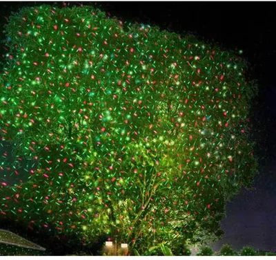Christmas projection light