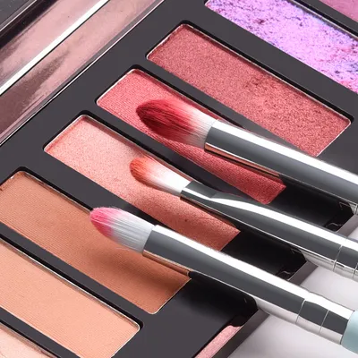 12 light blue makeup brushes