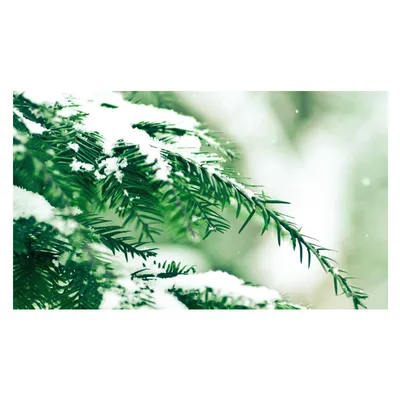 Christmas Supplies Scene Layout Artificial Snow
