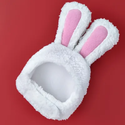 Cat Bunny Hat Pet Dog Small Medium Sized Dog
