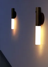 ضوء الليل الحثي