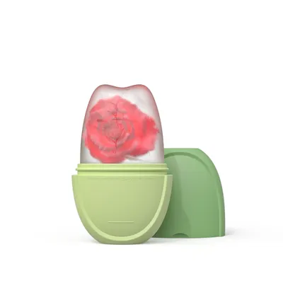 Face Application Ice Tray Beauty Supplies Mold