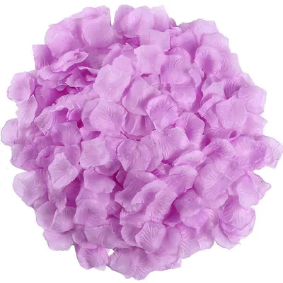 Rose Petals Wedding Hand-sprinkling Romantic Atmosphere
