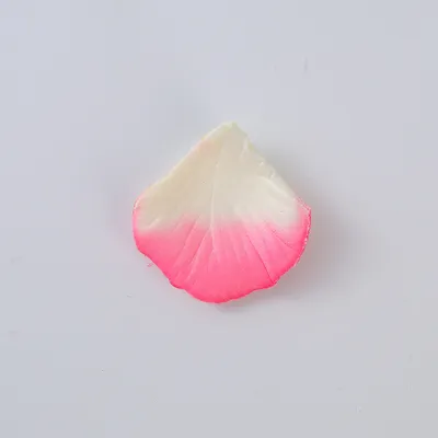 Rose Petals Wedding Hand-sprinkling Romantic Atmosphere