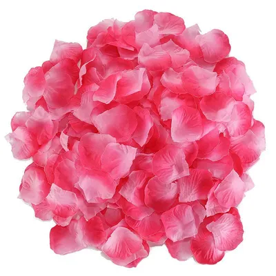 Rose Petals Wedding Hand-sprinkling Romantic Atmosphere