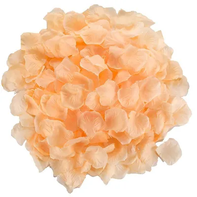Rose Petals Wedding Hand-sprinkling Romantic Atmosphere