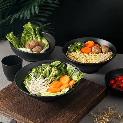 A5 Melamine Dinnerware Black Noodle Bowl