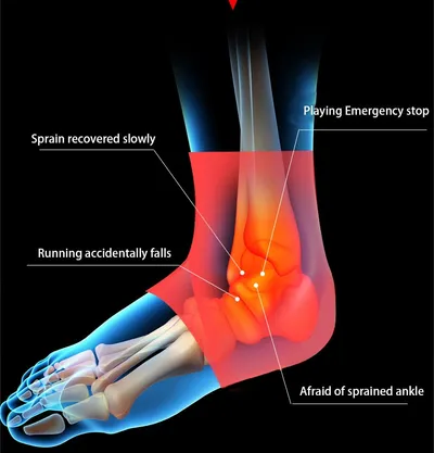 Sports protective ankle