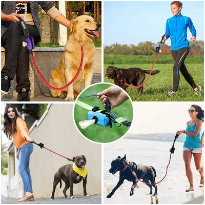Pet Outing Poop Picking Bags Dog Garbage Pack