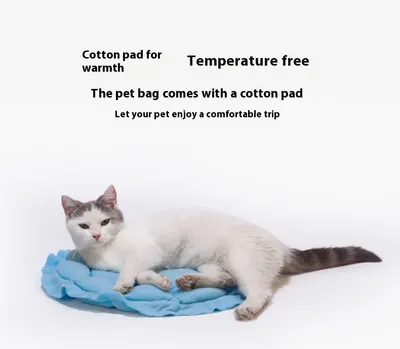 Cat Bag Portable Pet Trolley Bag Space Capsule Transparent Cat Luggage