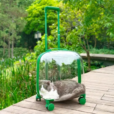 Cat Bag Portable Pet Trolley Bag Space Capsule Transparent Cat Luggage