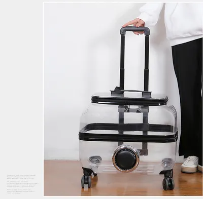 Cat Bag Portable Pet Trolley Bag Space Capsule Transparent Cat Luggage