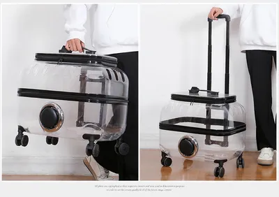 Cat Bag Portable Pet Trolley Bag Space Capsule Transparent Cat Luggage