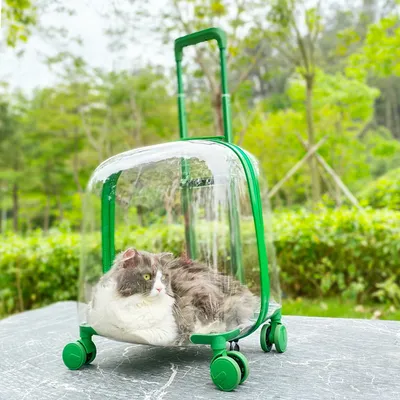 Cat Bag Portable Pet Trolley Bag Space Capsule Transparent Cat Luggage
