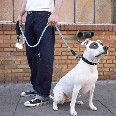Pet Supplies Reflective Dog Leash