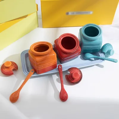 Kitchen Supplies Ceramic Seasoning Jar With Spoon Gift Box Condiment Bottle