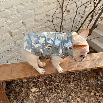 Pet Cat And Dog Summer Thin Denim Vest Jacket