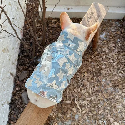Pet Cat And Dog Summer Thin Denim Vest Jacket