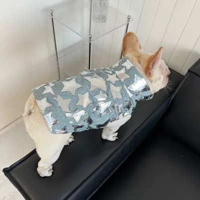 Pet Cat And Dog Summer Thin Denim Vest Jacket
