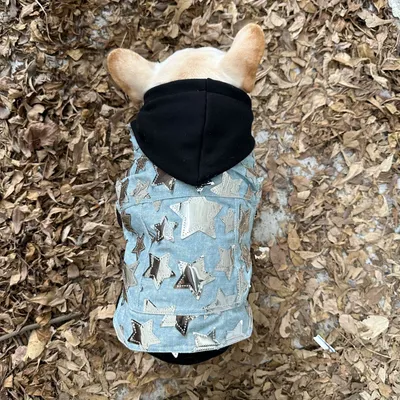 Pet Cat And Dog Summer Thin Denim Vest Jacket
