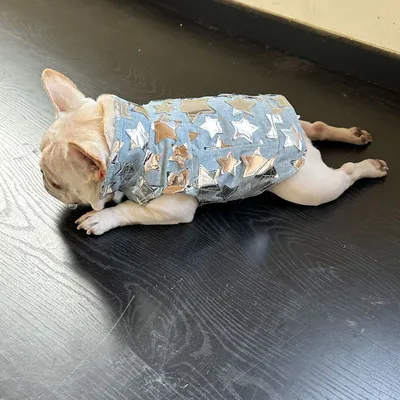 Pet Cat And Dog Summer Thin Denim Vest Jacket