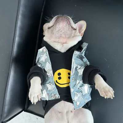 Pet Cat And Dog Summer Thin Denim Vest Jacket