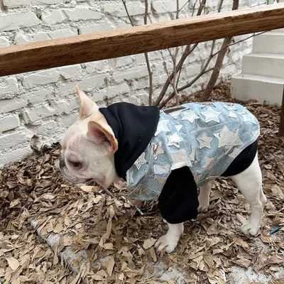 Pet Cat And Dog Summer Thin Denim Vest Jacket