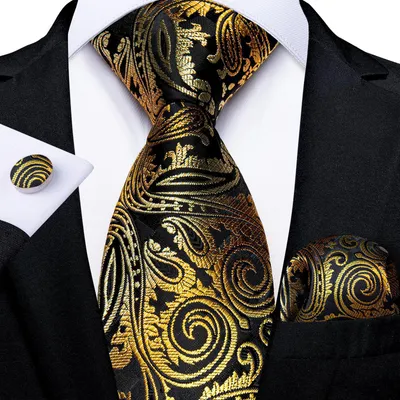 Vintage Jacquard Paisley Tie 3-Piece Set