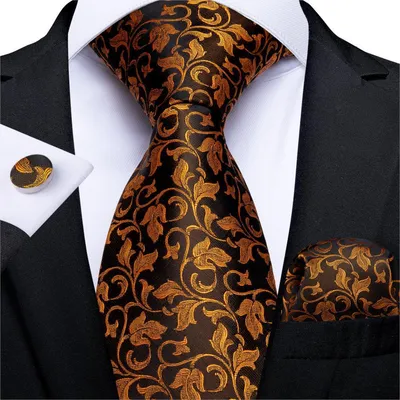 Vintage Jacquard Paisley Tie 3-Piece Set