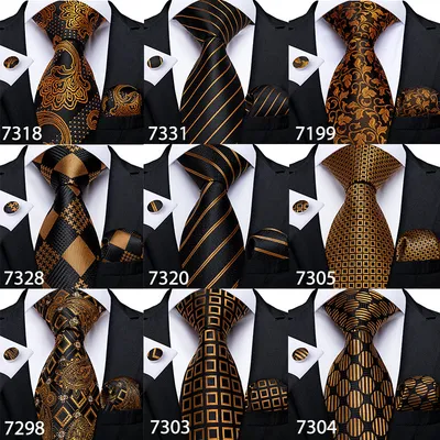 Vintage Jacquard Paisley Tie 3-Piece Set