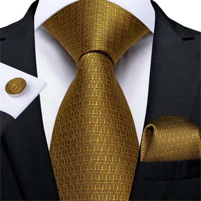 Vintage Jacquard Paisley Tie 3-Piece Set