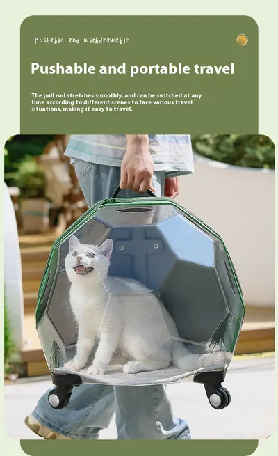 Pet Trolley Portable Cat Luggage Transparent Large Dog Suitcase Trolley Space Capsule