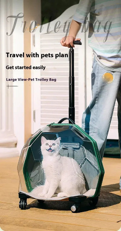 Pet Trolley Portable Cat Luggage Transparent Large Dog Suitcase Trolley Space Capsule