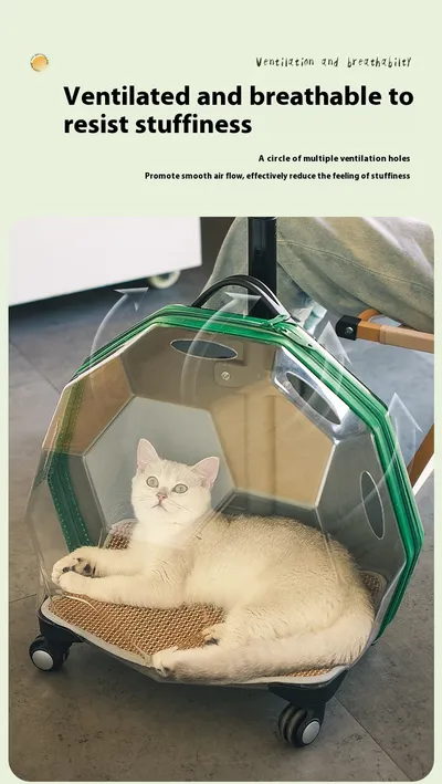 Pet Trolley Portable Cat Luggage Transparent Large Dog Suitcase Trolley Space Capsule