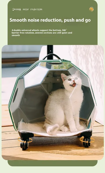Pet Trolley Portable Cat Luggage Transparent Large Dog Suitcase Trolley Space Capsule