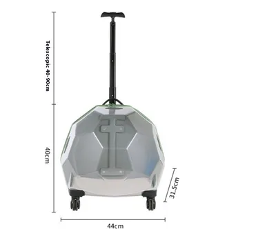 Pet Trolley Portable Cat Luggage Transparent Large Dog Suitcase Trolley Space Capsule