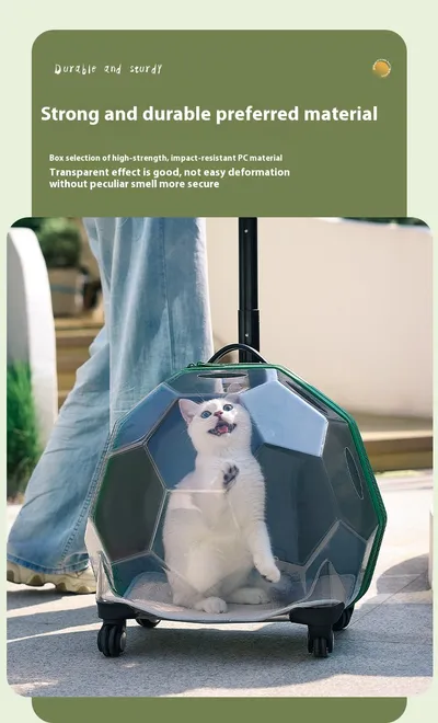 Pet Trolley Portable Cat Luggage Transparent Large Dog Suitcase Trolley Space Capsule
