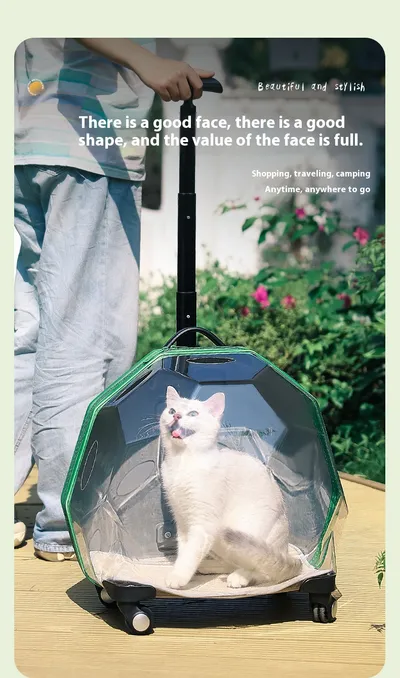 Pet Trolley Portable Cat Luggage Transparent Large Dog Suitcase Trolley Space Capsule