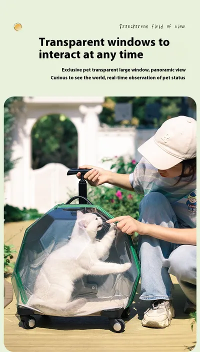 Pet Trolley Portable Cat Luggage Transparent Large Dog Suitcase Trolley Space Capsule