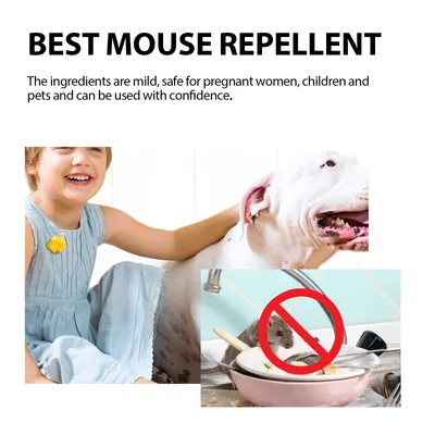 Outdoor Home Indoor Driving Mouse Home Protection