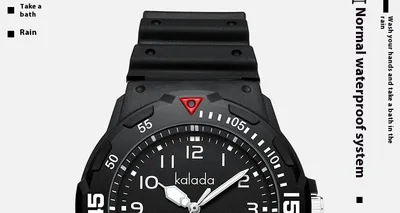 Men's Sports Luminous Pointer Quartz Watch