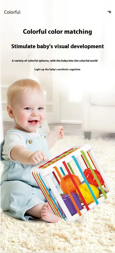 Rainbow Cecil Shape Color Cognitive Baby Early Education Toys