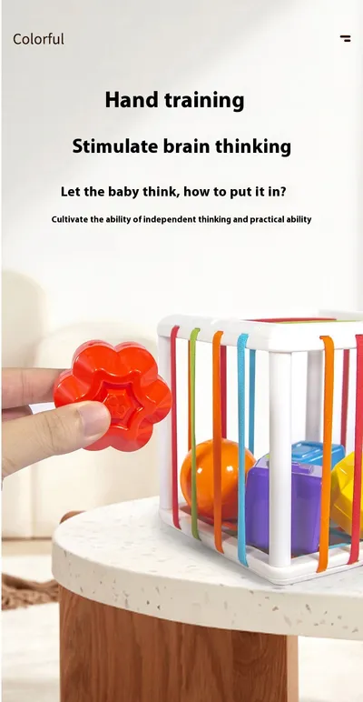 Rainbow Cecil Shape Color Cognitive Baby Early Education Toys