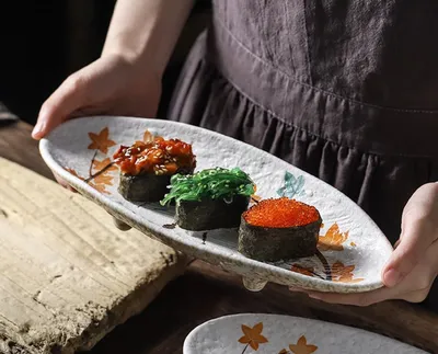 Creative Cuisine Sashimi Sushi Plate Ceramic Tableware